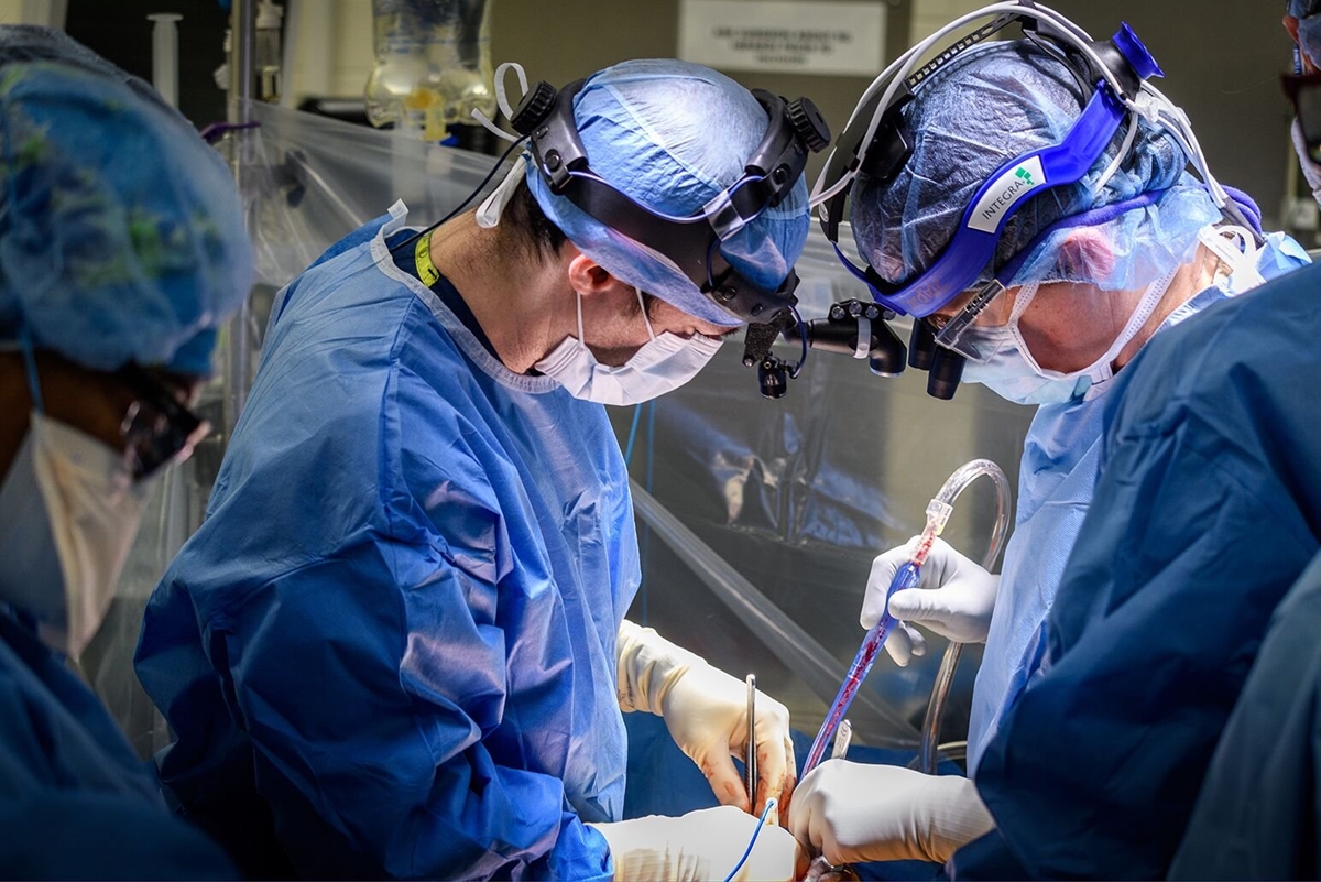 Heart Transplant: A Complete Guide to Treatment and Recovery