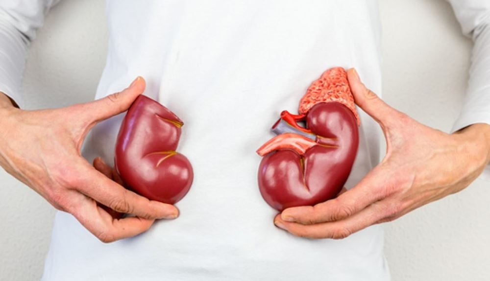 Kidney Transplant