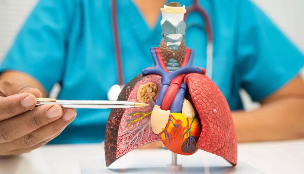 Lungs Transplant